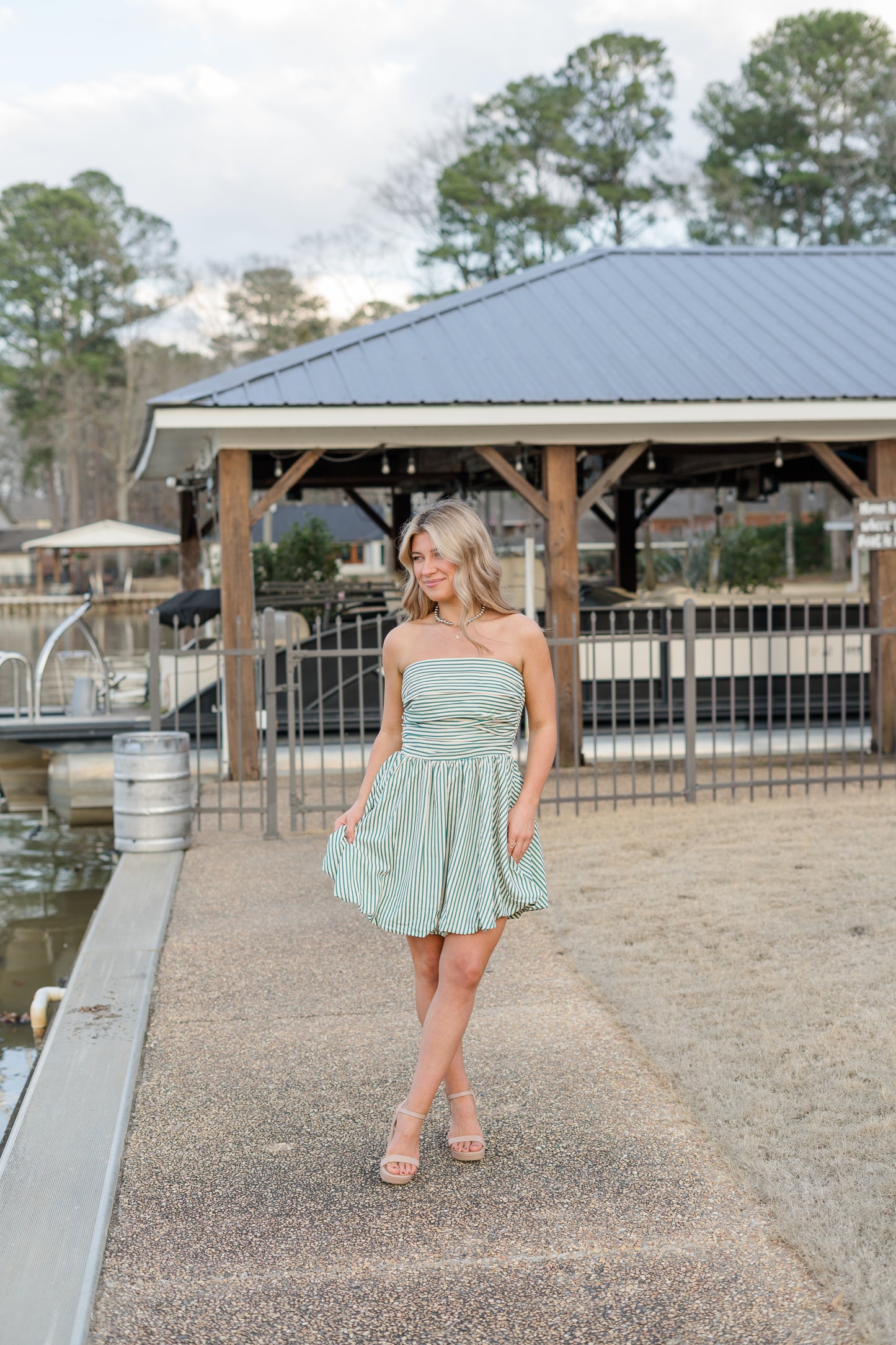 Laurel Stripe Mini Dress
