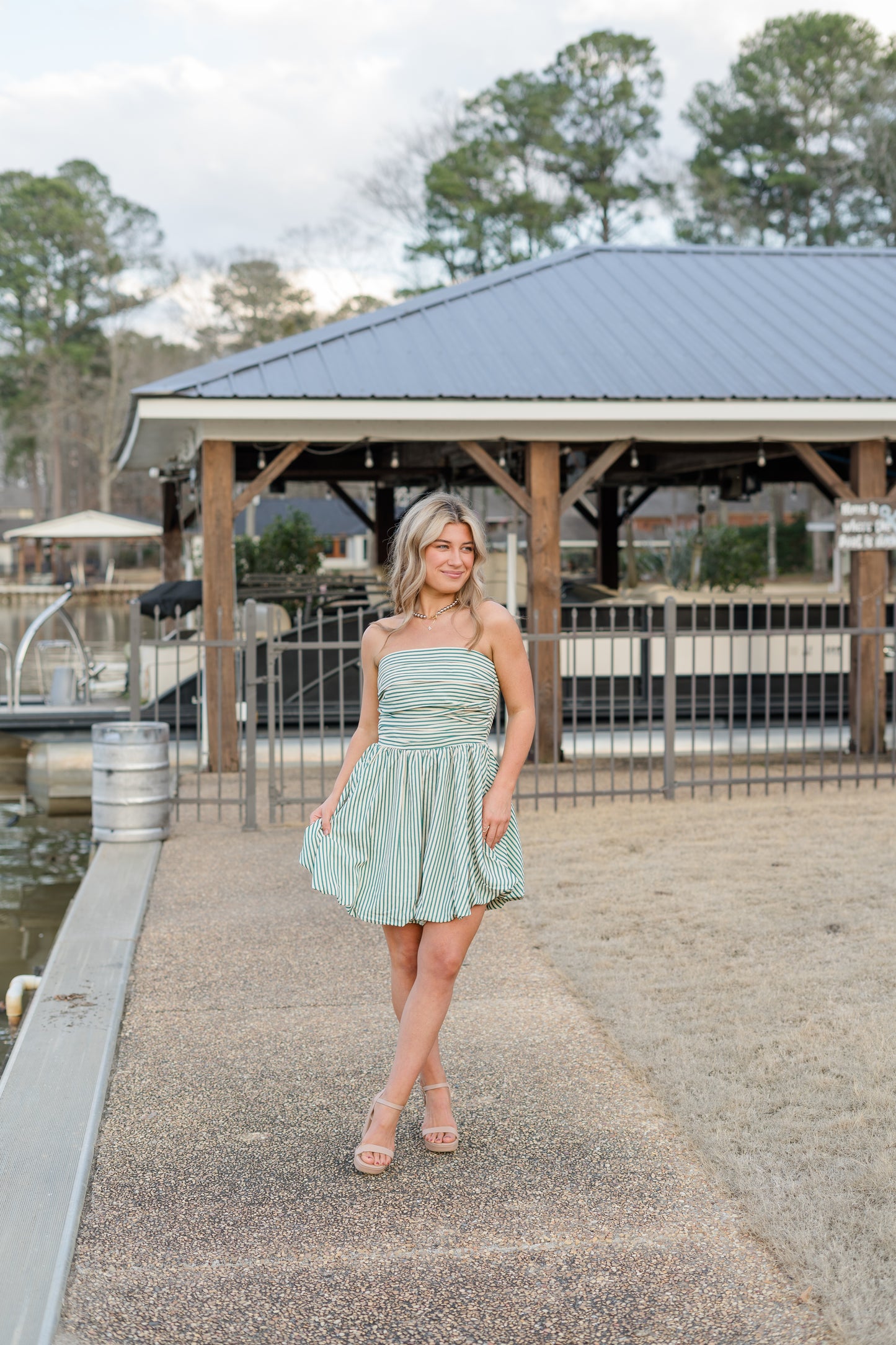 Laurel Stripe Mini Dress