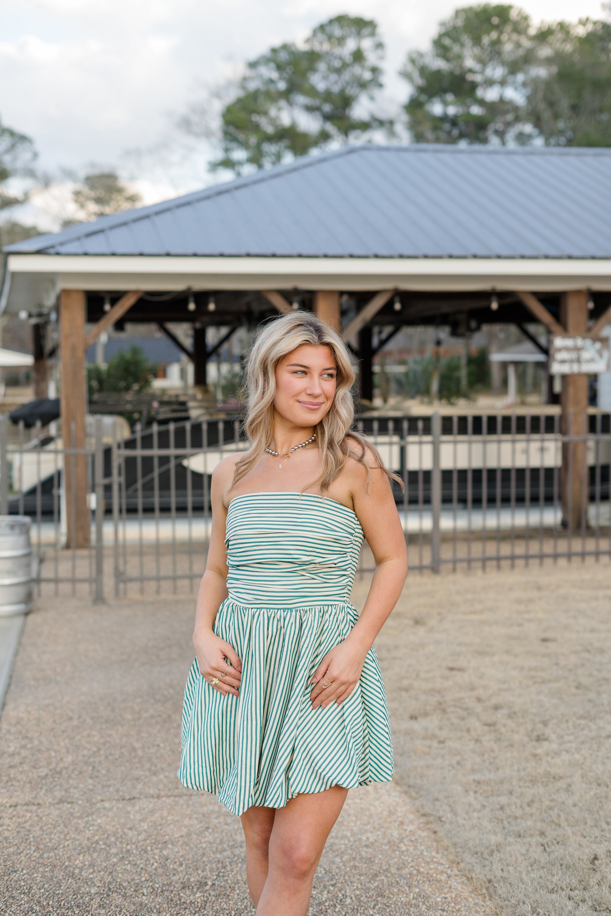 modern muse mini dress Laurel Stripe Mini Dress – Modern Muse Collective