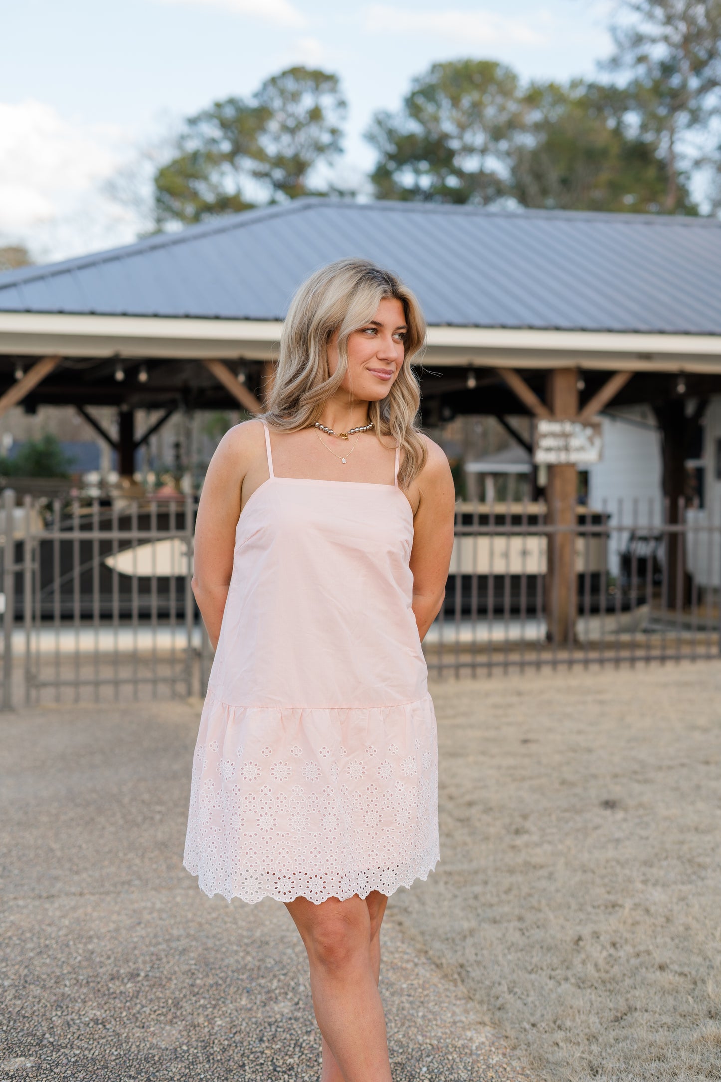 Arbor Eyelet Mini Dress